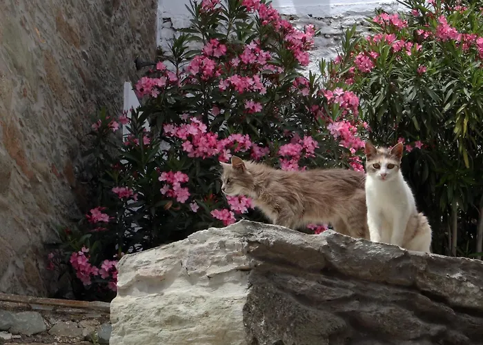 Karastamati΄s Tower House * Ándros